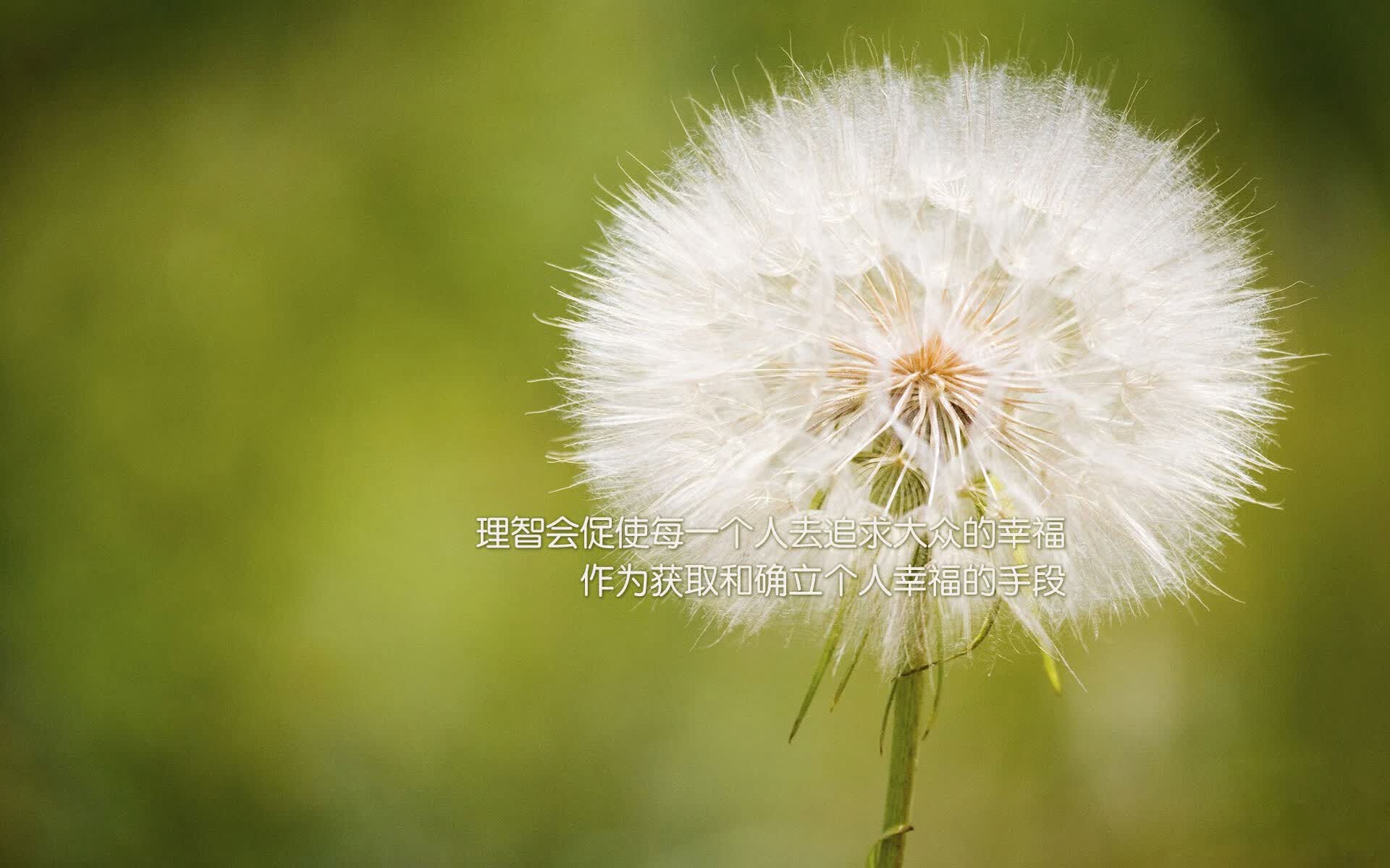 品牌推广要点有哪些呢（品牌推广方案实施步骤有哪些）