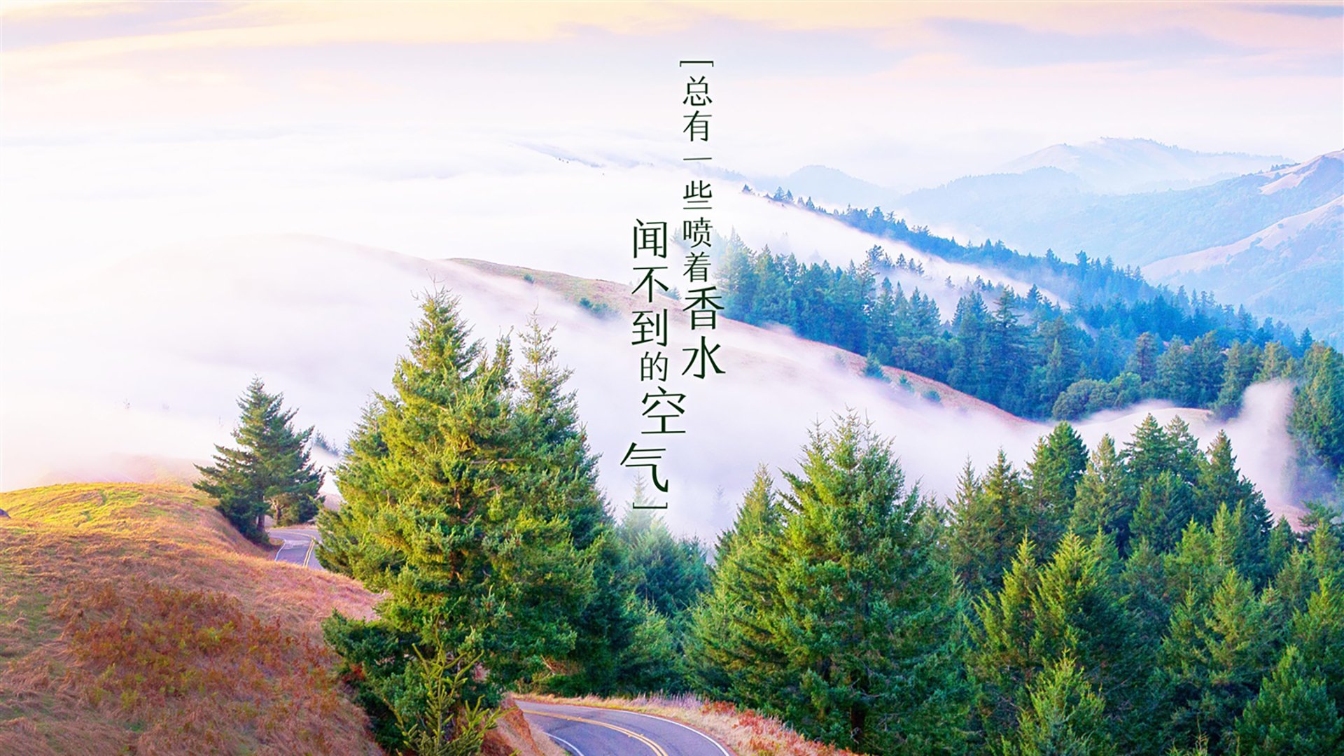 品牌推广策略研究毕业论文范文（品牌推广研究现状）