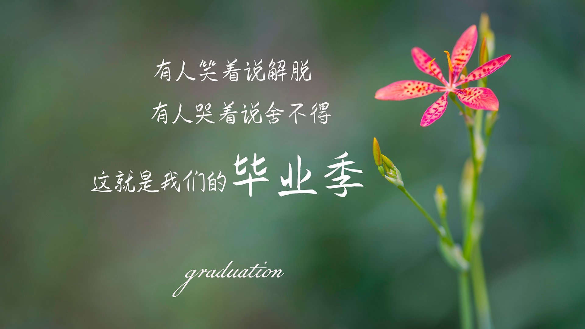 广告策划企业有哪些（广告策划企业有哪些部门）